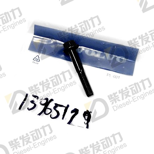 Screw 13973924